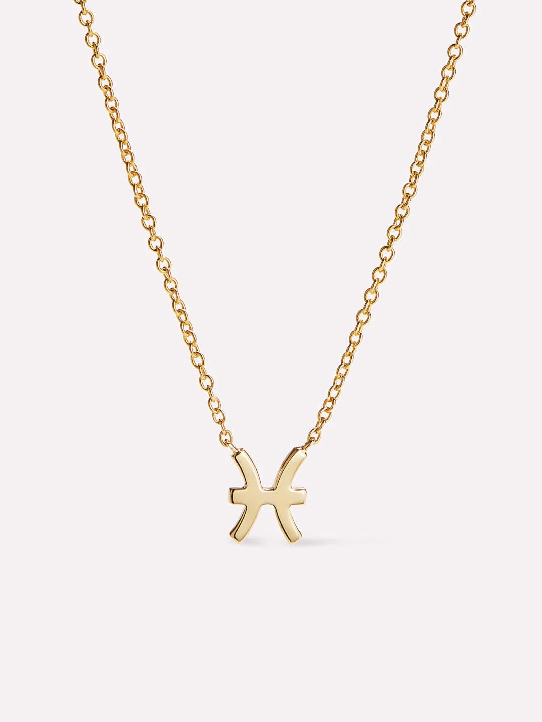 Ana Luisa Zodiac Necklace - Zodiac Necklace - Image 16